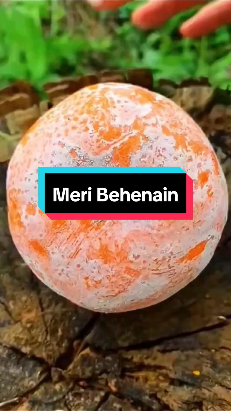 Meri Behenain Part 1 #urdukahani #mohabbat #lovestory #fypviral #urdustories #kahaniurdu #shaadi #sisters #behen 