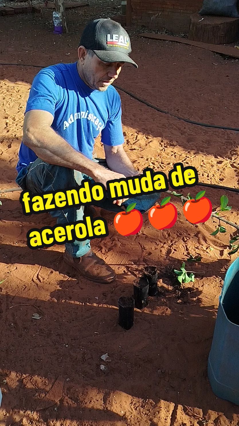 #muda #plants #acerola #fruta 