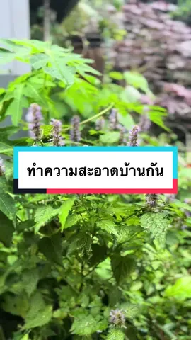 #ทําความสะอาดบ้าน #ครูเมย์💙🤍  