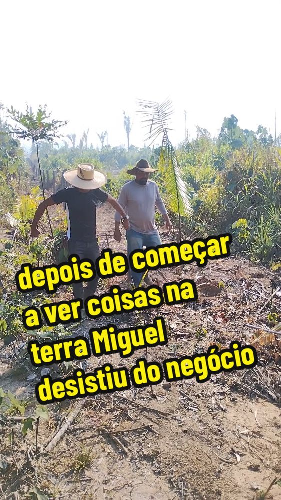 depois de começar a ver coisas na terra Miguel desistiu do negócio@Patrão Mais ou Menos 3 oficial @Calango_carreira 🤠🤠 