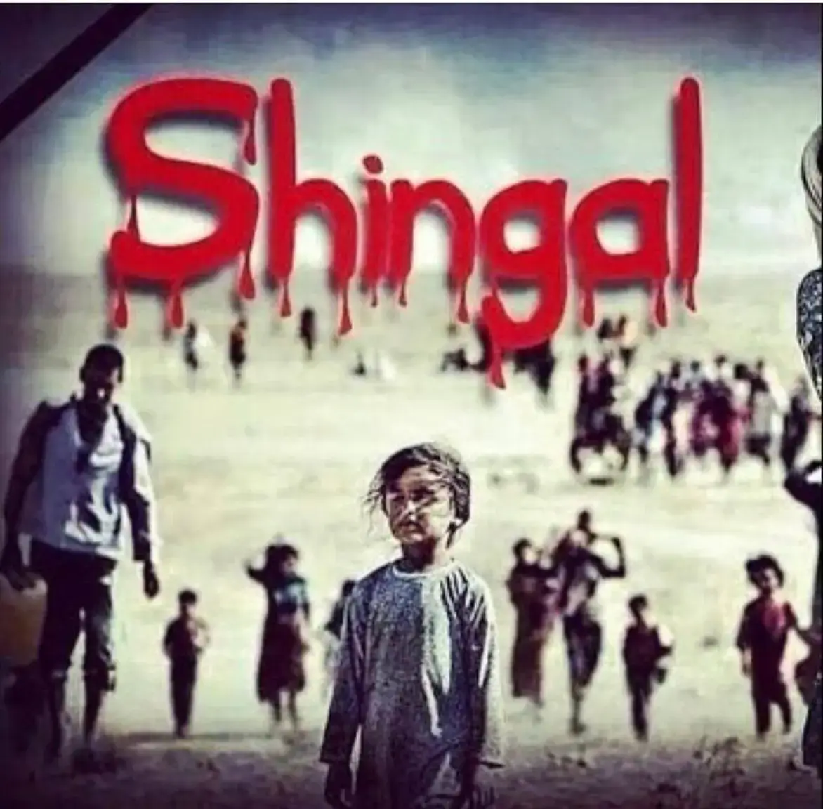 Shingal 💔 #شنكال #يا خودي و طاوسي ملك𒀭 🤍#لالش_جنة_الارض #ezidi🦚 #ايزيديخان_⚪🔴⚪ #ezidixan 