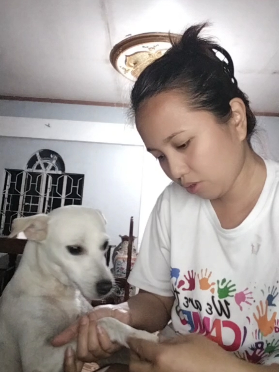 My so lambing Prima 🥰❤️#viral #fyp #fypシ゚ #aspin #dogsoftiktok #furmom #foryoupage #viralvideo #trending 