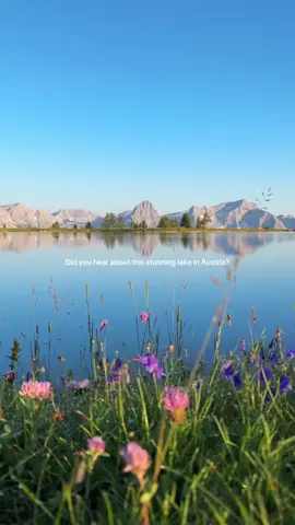 Wie schön ist bitte dieser Ort? 😍 📌Schafkogelsee #upperaustria #mountainmagic #visitaustria #österreich🇦🇹 #scenicview #beautifulplaces #natureescape #travelspot #lake 