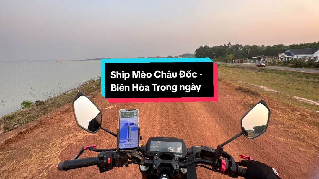 Chuyện Ngày Hôm Qua , giờ mới đăng .  Ship mèo cho khách VIP ở Châu Đốc và Biên Hòa 😆 #Relive 