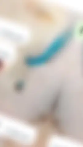 🦋
