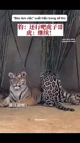 Phận làm người hầu #dangyeu #motchutnangammoingay #xuhuong #viral