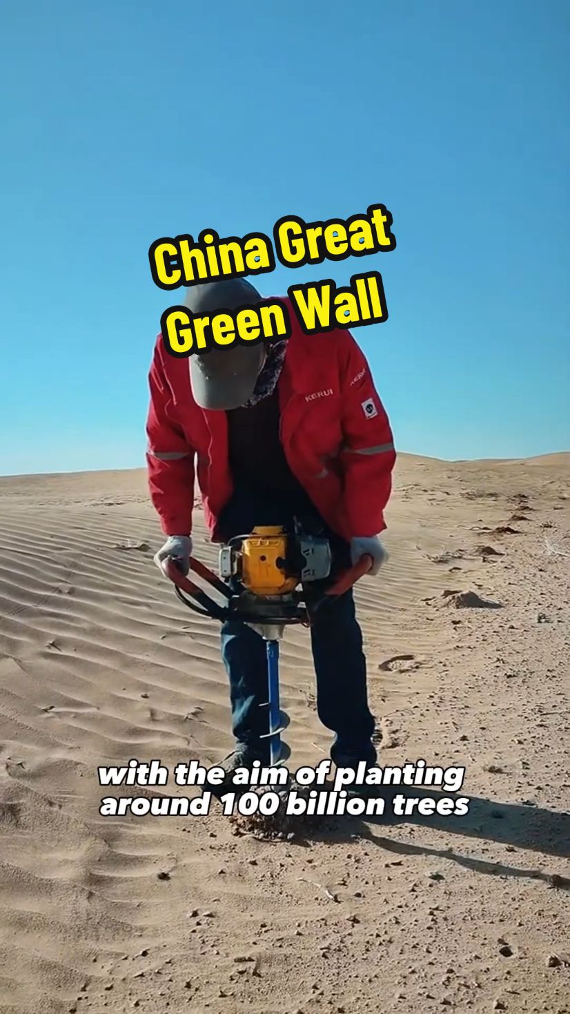 China is planting a great green wall against the encroaching deserts in the North of the country #history #geography #megaproject 