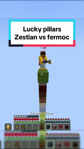 Zestian vs fermoc #Minecraft #luckypillars #fermoc #zestian #minecraftmemes #pillarsoffortune #minecraftserver @Zestian 