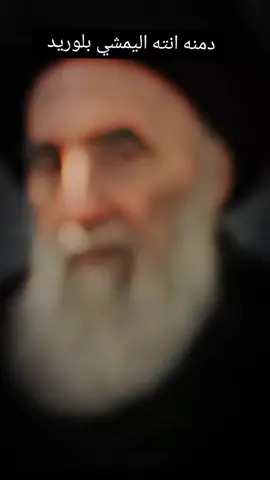 #سيد علي السيستاني دام ظله الشريف _قصيدة عباس خضر دمنه انته اليمشي بلوريد 😔💔#CapCut 