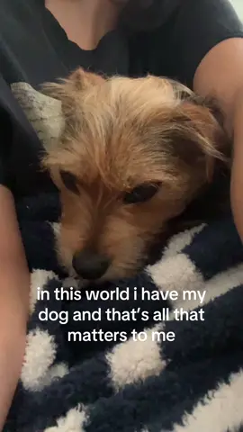never felt unconditional love until i adopted her