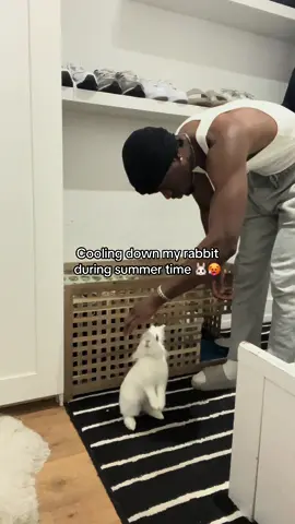 The rabbit is hot 
