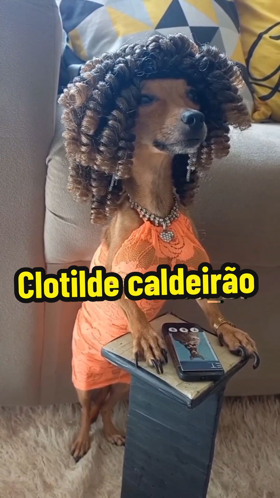 Junin perereca e Natacha caldeirão #cachorro #animais #pet #animaisnotiktok #funnyvideos #fyp 