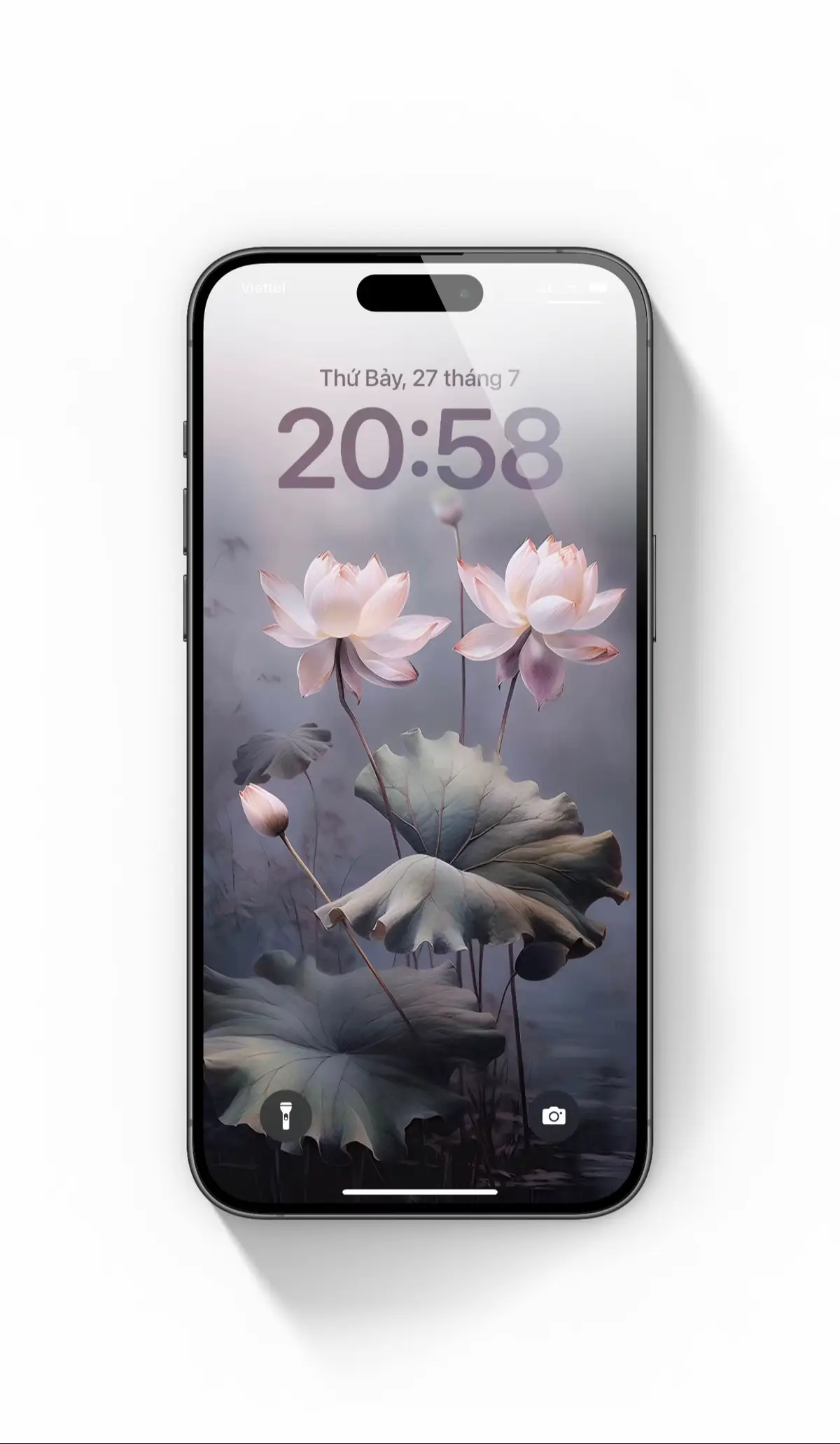 #nabiwallpaper #wallpaper #hinhnen #fypシ゚viral #hinhneniphone #hoasen 