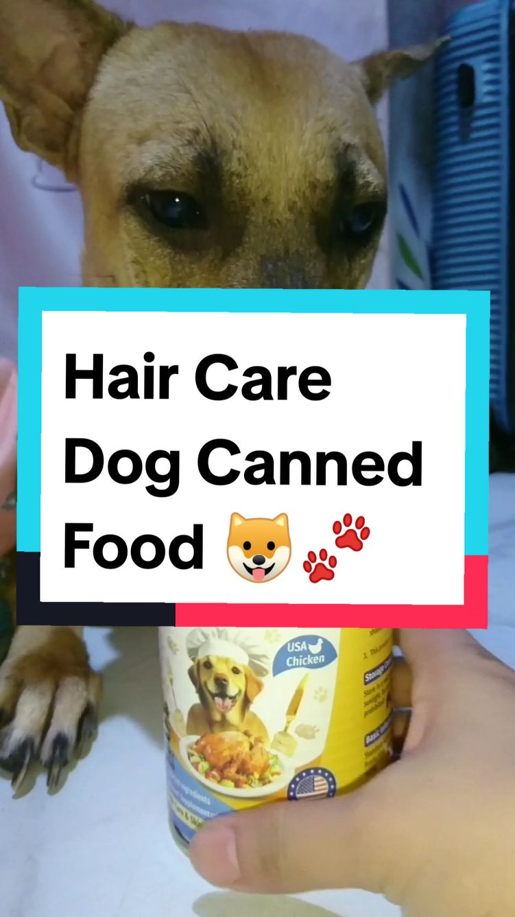 Get yours now! #cassielpet #cassielcannedfood #haircarecannedfood #shinecoat #trend #fyp 