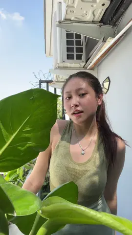 daunnya nutupin yeah