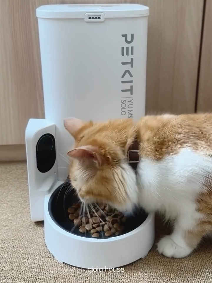 Pet feeder canggih yang ada kameranya 📷✨ by: @/gioia.house #petkit #petkitid #petkitindonesia #yumshare #yumsharefeeder #kucinglucutiktok #fypシ゚