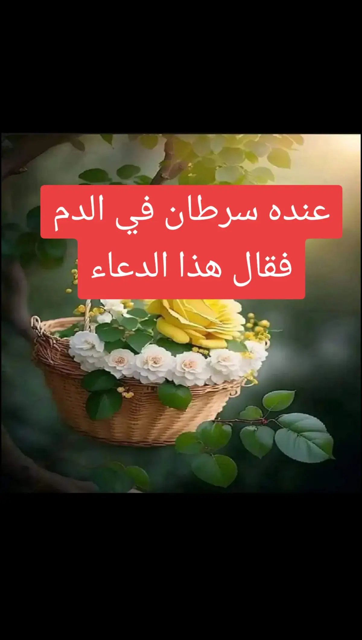 #ذكر_الله 