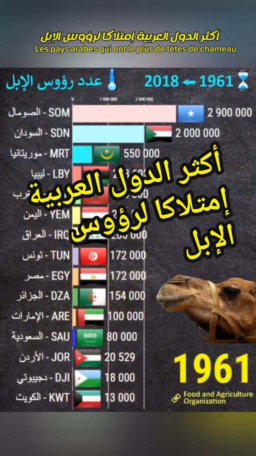 أكثر الدول العربية إمتلاكا لرؤوس الإبل #الإبل #chameau #الدول_العربيه #statistics #data #pays #statistics #statistiques34 #viral 