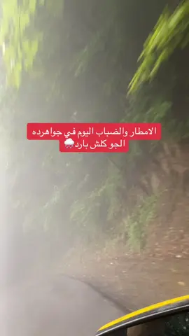 #اجواء_خيالية_ترد_روح💛😴_جمال_الطبيعه_في_شمال_ايران_رامسر 