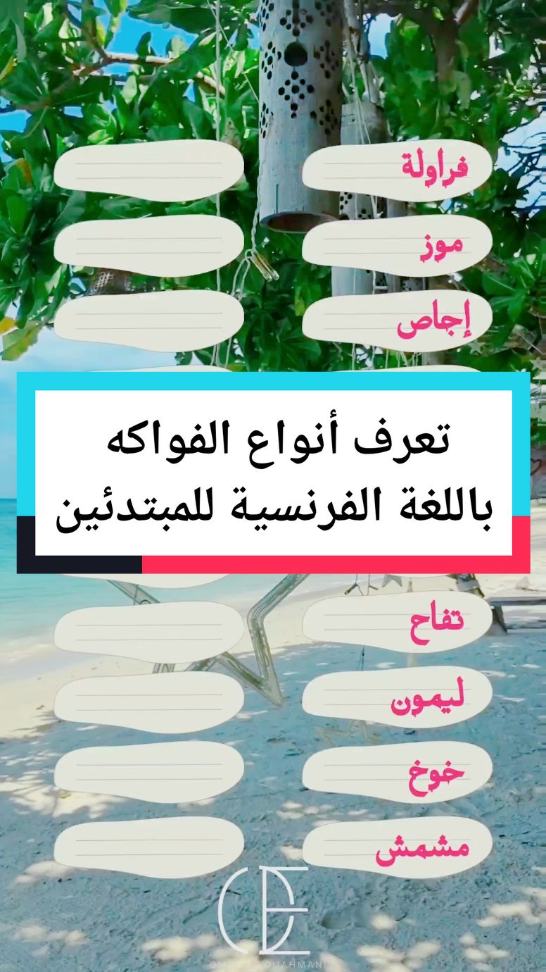 كيف أقول بالفرنسية؟ #français_débutant #الفرنسية_للمبتدئين #levocabulaire #اللغات #quiz #learnfrench #learnfrench #الفرنسية_بسهولة  #omarelouahmani 