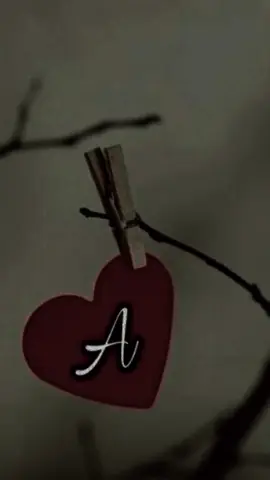 #A_name_status🌹 #A_name_status🌹 #A_name_video❤ #plezzunfreezemyaccount #standwithkashmir #standwithkashmir #foryoupageofficiall #foryou #fypシ゚ #foryou_A #A_Love_ع #CapCut 