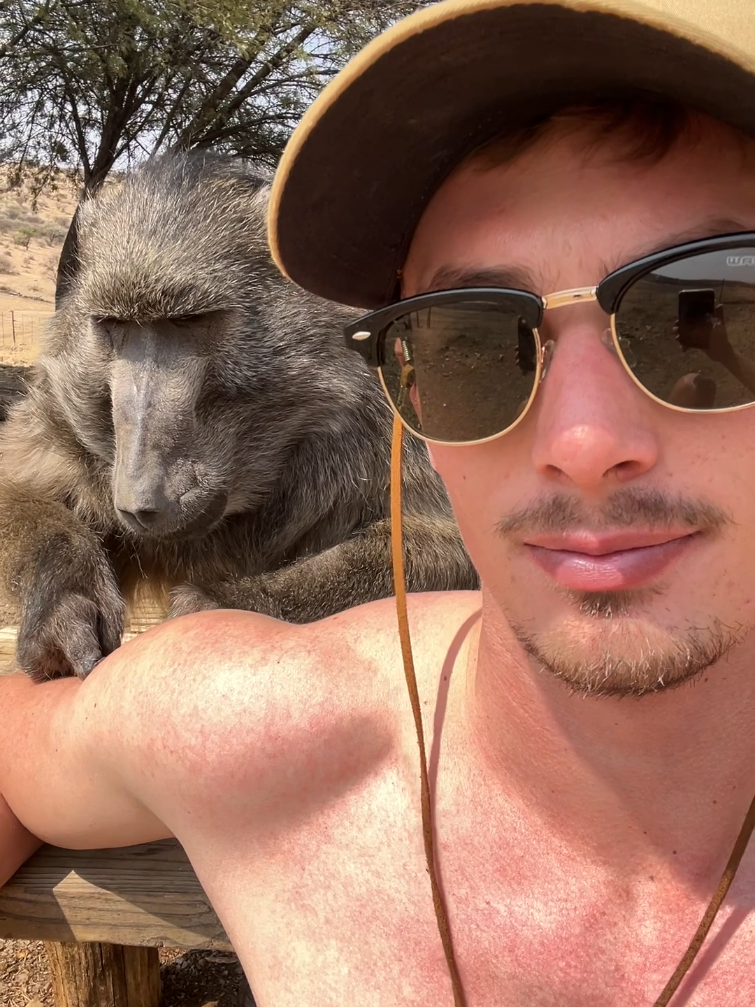 This was filmed before Cindy the baboon went blind 🥹 we used to take turns grooming each other 🥰 #animals #animallover #wildlife #cuteanimals #animalsoftiktok