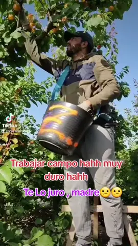 #tarabajar_muy_duro #trabajando #trabajo #trabajar #campo #frutas #frutasyverduras #_las_verduras #ghorba🗼🇫🇷👻🇪🇺🇪🇸 #Zakaria_Radoui #حركة_اكسبلور_2021 #trabajo_en_el_campo #