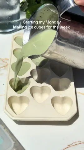 Monday morning  Making some ice cubes for the week, matcha and mint aloe vera and water.  • • #mondaymotivation #fallowback  #mondaymood #monday #makewithme #10kchallenge  #icecubes #momsover30 #fypシ゚viral  