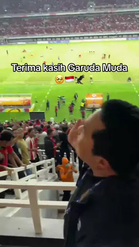JUARAAA🥹🇮🇩🦅🔥 Terima kasih Garuda Muda! @Erick Thohir @Timnas Indonesia  #ErickThohir #KitaGaruda #Sepakbola #AFF #TimnasDay #Juara #PSSI #Sepakbola #Fyp 