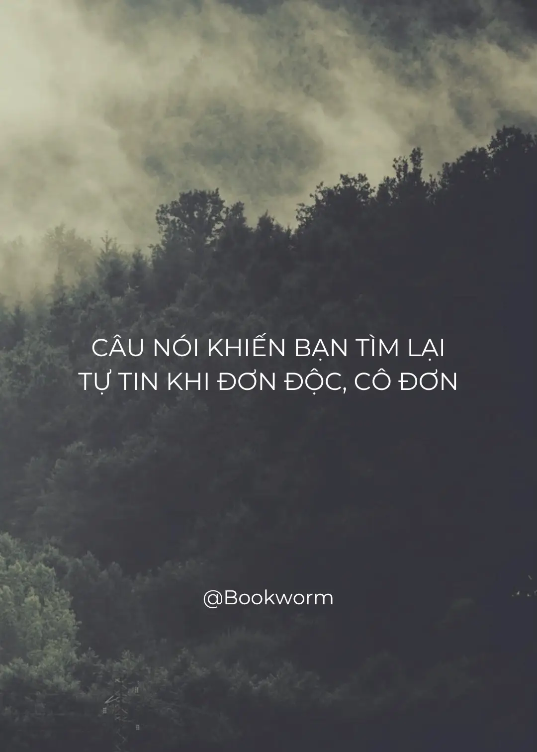 Câu nói giúp bạn lấy lại tự tin #caunoihay #sach #book #dongluc #dongluchoctap #quotes #trichdanhay 