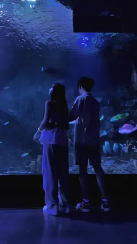 when he promise to be better❤️‍🩹 #bxsea #aquariumdate 