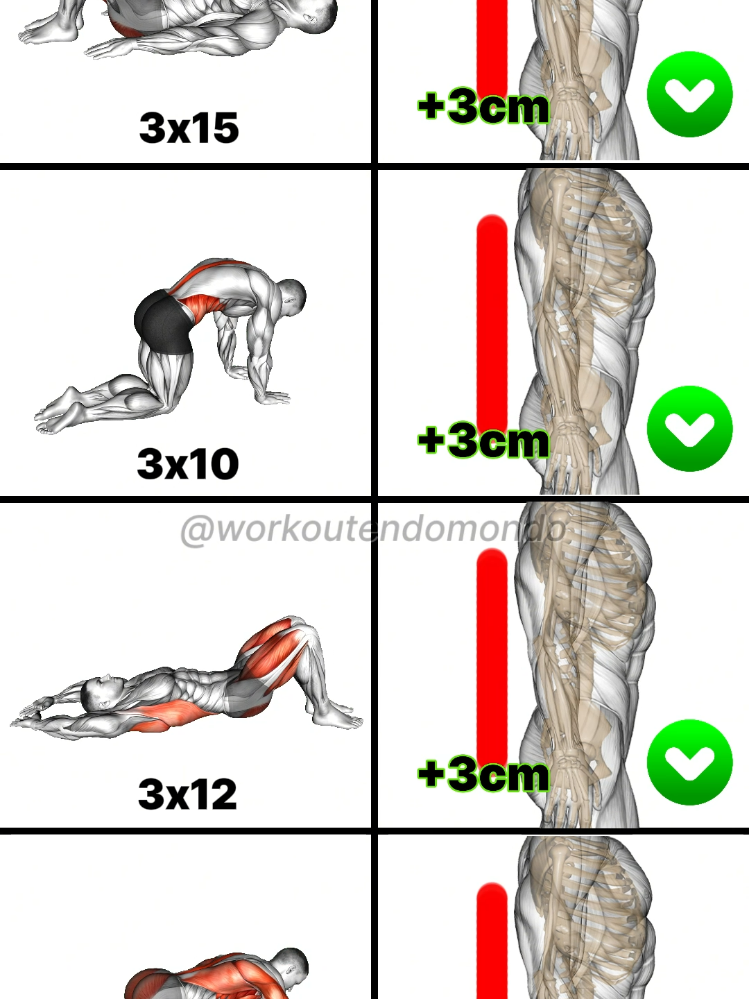 Strengthen your back with these top dumbbell exercises! 💪🔥 From rows to deadlifts, these moves are perfect for building a strong, sculpted back. Suitable for all fitness levels! 🏋️‍♂️ 1️⃣ Pelvic Tilts: 3 sets x 15 reps 2️⃣ Cat-Cow Stretch: 3 sets x 10 reps 3️⃣ Glute Bridges: 3 sets x 12 reps 4️⃣ Bird Dogs: 3 sets x 10 reps per side #BackWorkout #FitnessGoals #MuscleBuilding #GymTok #GetFit #Endomondo