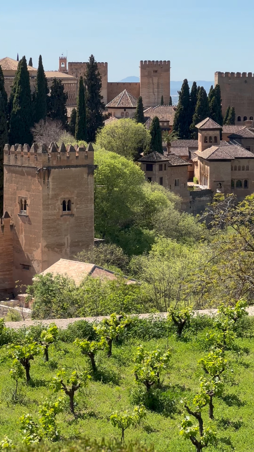 GRANADA CORDOBA ANDALUSIA  ....... #SPAIN #umayyad #arab #moor #history #islam #allah #alhamdulillah #الاندلس #غرناطة #اسلام #تاريخ #explore #hiddengems #ليبيا #following #لايك #غرناطى #قرطبة #السعودية #المغرب #سوريا 