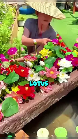 You will like this #tiktokshop 