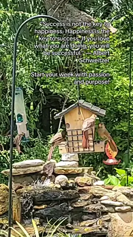 #LIVEhighlights #TikTokLIVE #LIVE #BirdWatching #GulfOfMexico #Success #Happiness #LoveWhatYouDo #Motivation #Passion #Purpose #MondayMotivation #AlbertSchweitzer