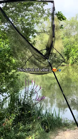 Mornings like these… 🎣 #fyp #foryou #foryoupage #fishing #fishinglife #fishtok #angler #carpfishing #nayzofishing #viral 