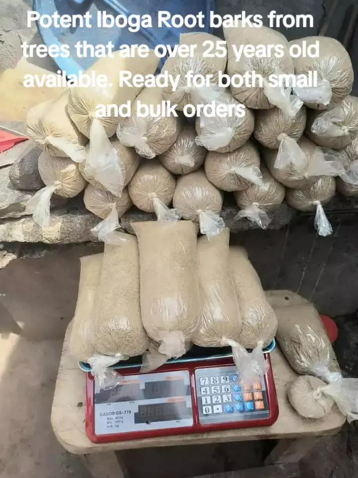#ibogaine #ibogainesolutions #herbalhealings #ibogaceremony #ibogaineheals #ibogatreatment #ibogaineisthefuture #ibogaforsaleinuk #ibogabrasil #ibogamexico #ibogacanada #plantmedicines #plantmedicine 