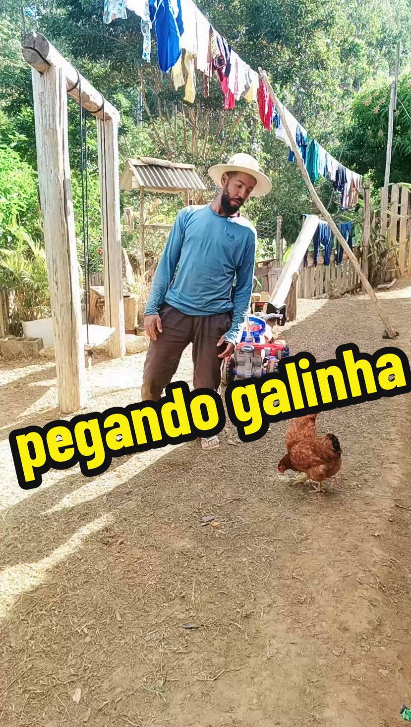 pegando galinha 🐔 