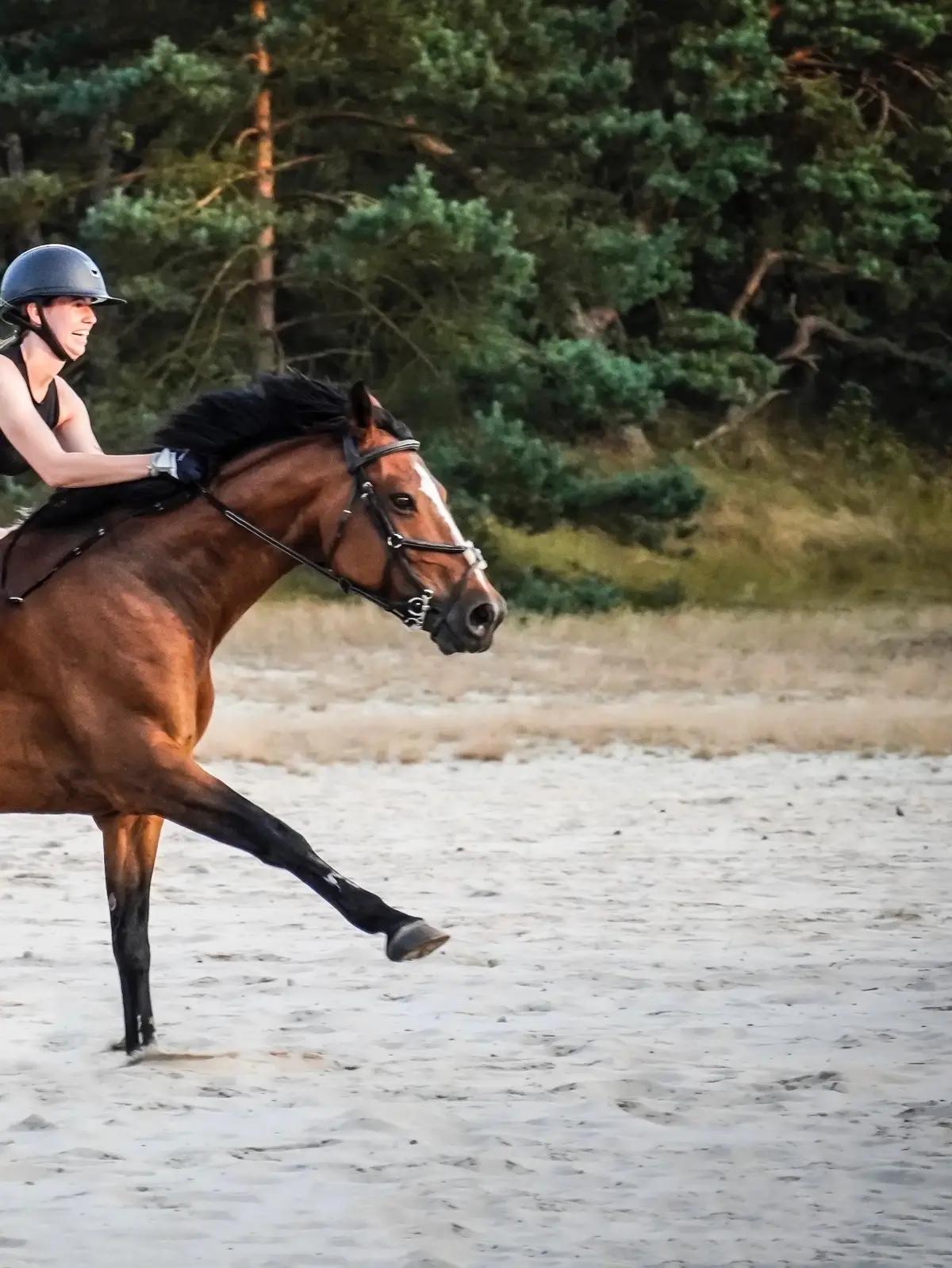 #CapCut #fyp #fypシ゚viral #befypシ゚viral #viral #enjoylife #laatditviralgaan #equestrian #jumpinghorse #dressagehorse #showjumping #opdezedag #horse #horsegirl #horses #horseglowup #dressage #runninghorses #sunset #sunsetwithhorse 