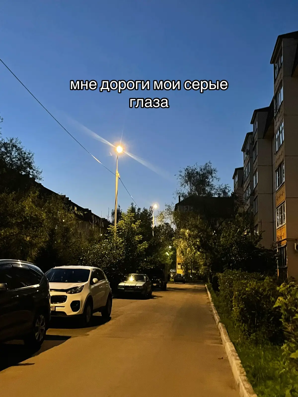 @⋅˚₊‧ 𐙚 ‧₊˚ ⋅ 