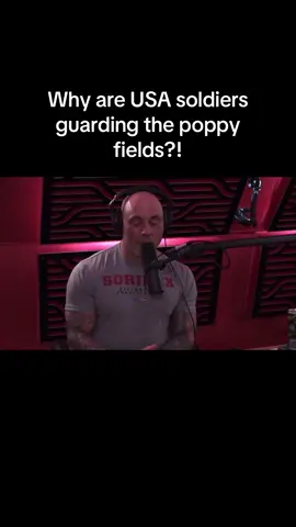 JRE 1593  #jre #joerogan #podcast #clip #clips #podcastclips #conspiracytherory #theory #conspiracytiktok #conspiracy #interesting 