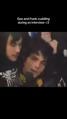 Theyre so silly #gerardway #frankiero #ferard #mcr #mychem #mychemicalromance #emo #fyp #foryou #foryoupage 