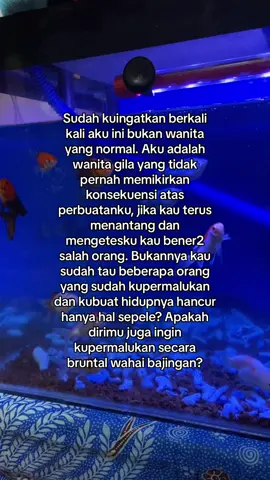 Dendamku akan terus mengalir #motivasi #fyppppppppppppppppppppppp #xybca #foryou #4u 