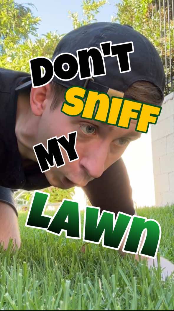 Can I Sniff Your Lawn? #comedyvideo #funny #sketchcomedy #foryou #foryoupage 