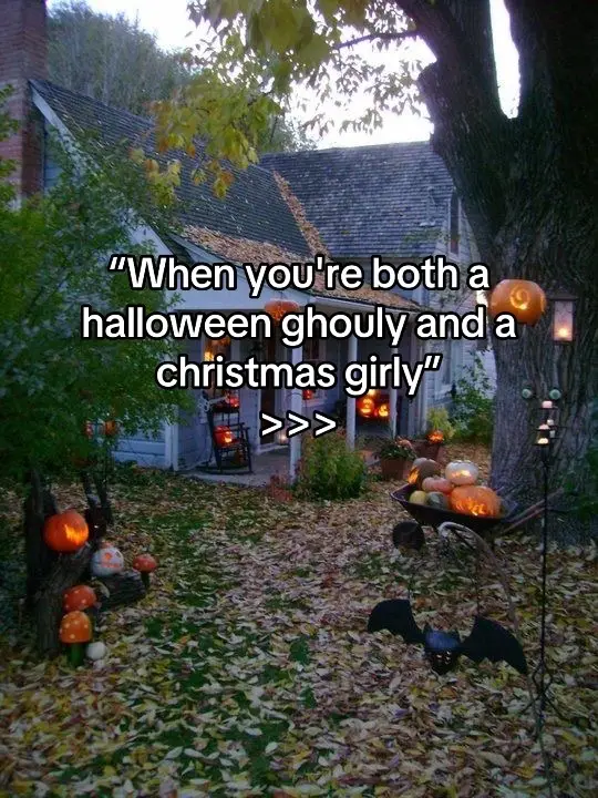 #halloween24 #christmas24 #spookyseason #backtoschool2024 #halloweenshirt 