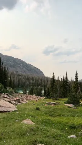 our weekend in the uintas 🥾🌲⛺️⛰️ #uintas #utah #backpacking #goldenretriever #camping #hikinginutahwithourdogs #Summer 