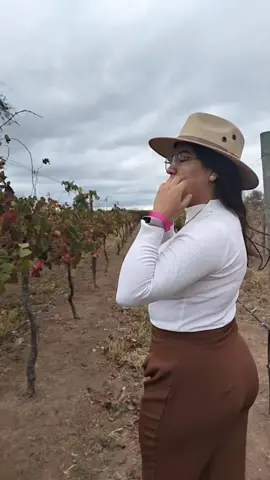 #quenoseadondevoy #sincomplejos #naturaleza #viñedos 💐😍❤️‍🩹