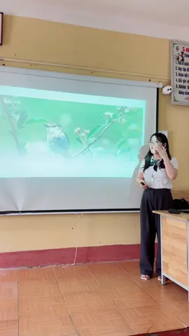 Dự giờ của giáo viên trẻ đến xin làm việc ở trường! Nhớ lại mình của nhiều năm về trước, cũng trẻ như thế, cũng ít kinh nghiệm như thế. Chỉ có mỗi sự nhiệt huyết là không thay đổi. Chúc bạn giáo viên mới sẽ có những trải nghiệm tốt ở trường và thành công nhiều hơn nữa!!!#giamcanantoan #mebimsua #giaoviengenz #trendingvideoviral #giaovien #trending 
