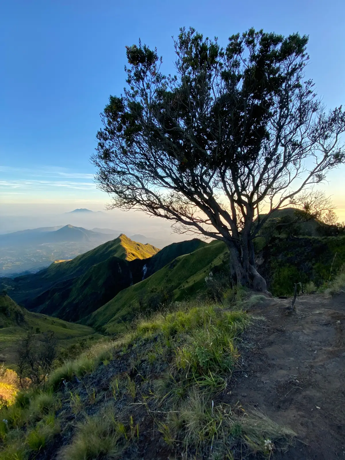 #merbabu3142mdpl #merbabumountain 