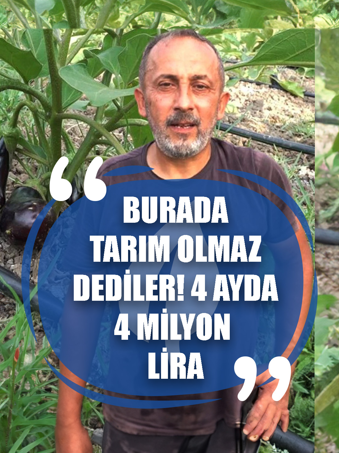 Burada Tarım Olmaz Dediler ,25 Dönümden 4 Milyon TL Gelir Eldecek! Zonguldak'ın Ereğli ilçesinde Ziraat Odası Başkanı Zafer Yalman, gençleri tarıma yönlendirmek için futbol sahası olarak kullanılan alana 30 bin adet patlıcan fidesi dikti. Yalman 25 dönüm araziden 4 ayda yaklaşık 4 milyon TL gelir elde etmeyi bekliyor. #agrotv #tarım #çiftçi #zarar #patlıcan #sıcak #kavurucusıcak #salatalık #enflasyon #çiftçifiyat #komisyoncu #patlıcanfiyatları